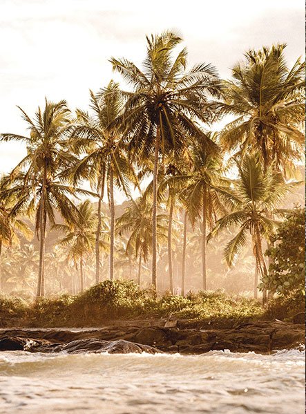 Portfolio Image